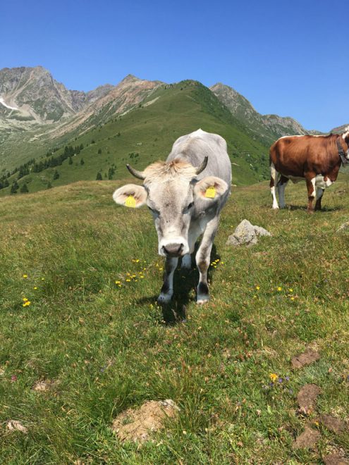 SAV 2021 07 19 Proveis mobil JH (13)