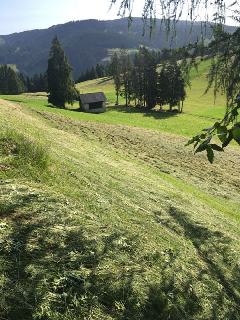 SAV 2021 07 19 Proveis mobil JH (6)