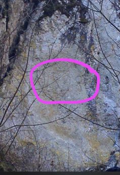 Märzenbecherw 2022 (10)