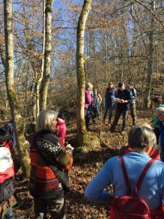 Märzenbecherw 2022 (5)