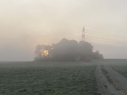 Frühwanderung 22 (1)_1