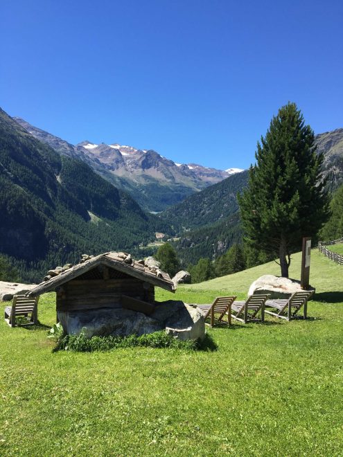 2022 Stallwies BLICK INS HINTERMARTELL