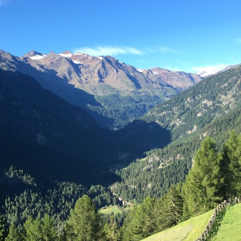 2022 Stallwies HINTERMARTELL