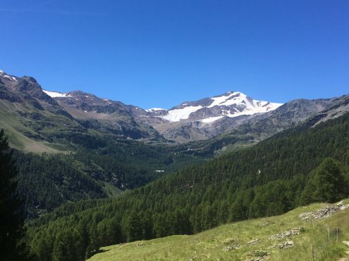 2022 Stallwies HINTERMARTELL ZUFALLSPITZE CEVEDALE