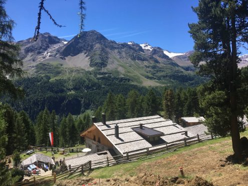 2022 Stallwies LYFIALM