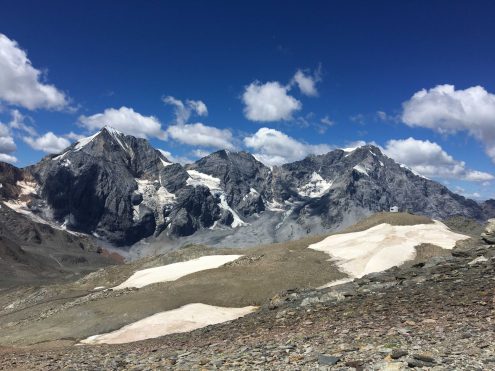 2022 Stallwies ORTLER ZEBRU KÖNIGSSPITZE von re
