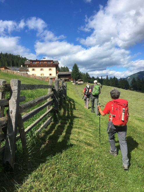 2022 Stallwies RÜCKKEHR AUF MARTELLER HÖHENWEG