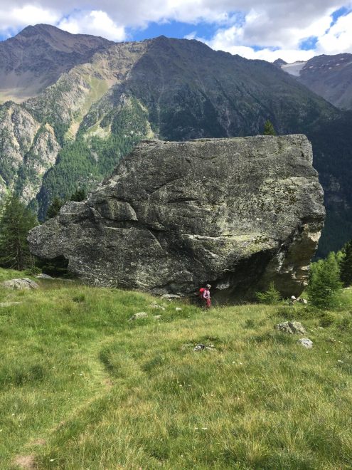 2022 Stallwies SCHLUDERSTEIN