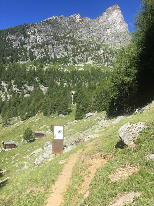 2022 Stallwies SCHLUDERZAHN