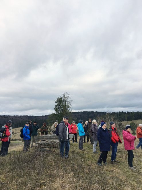 Winterwanderung 23(2)