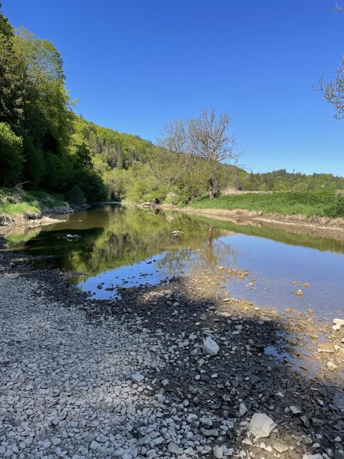 Donauversickerung (1)
