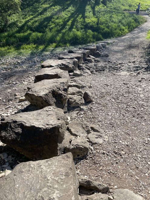 Donauversickerung (2)