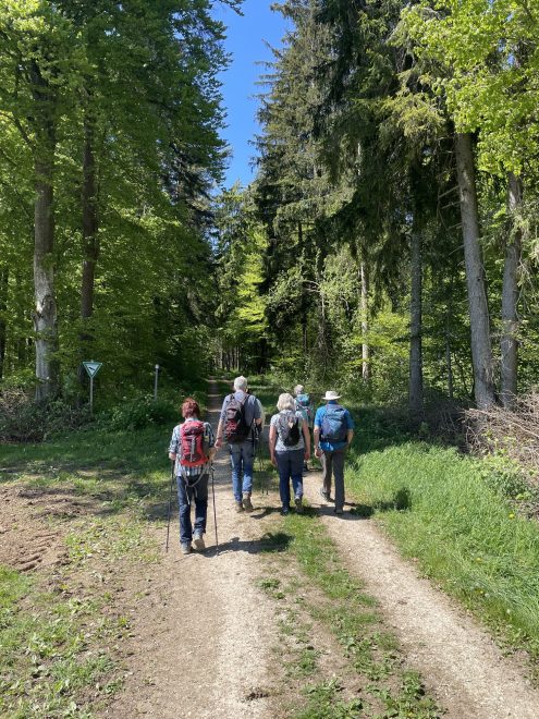 Donauversickerung (3)