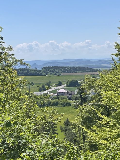 Donauversickerung (4)