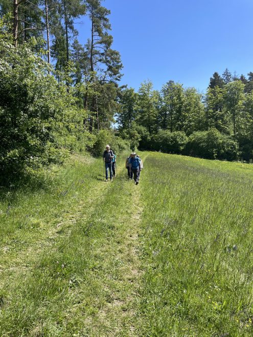 Donauversickerung (5)