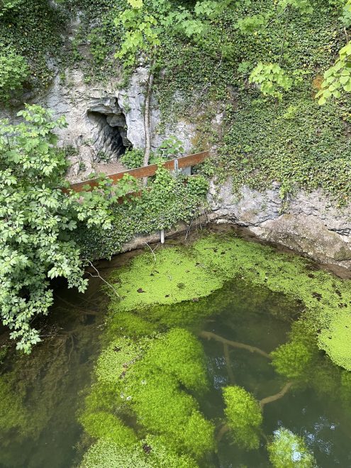 Donauversickerung (8)