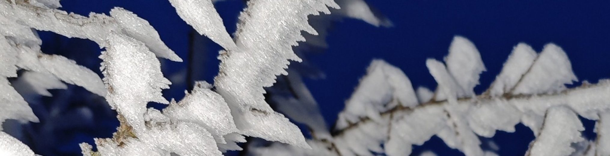 Schwäbischer Albverein | Ortsgruppe Hayingen