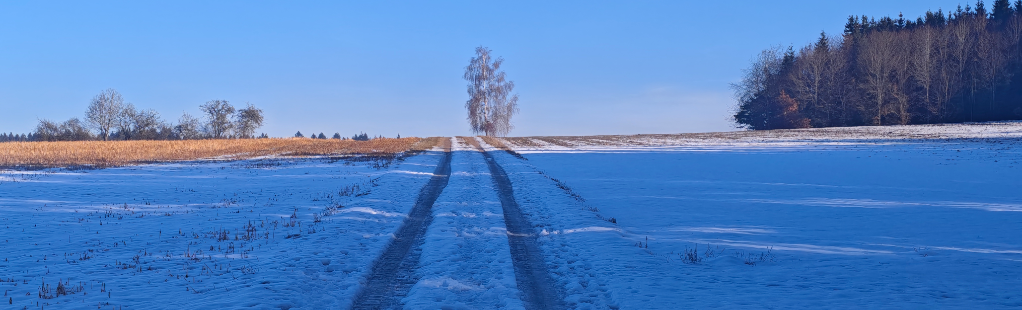 Schwäbischer Albverein | Ortsgruppe Hayingen