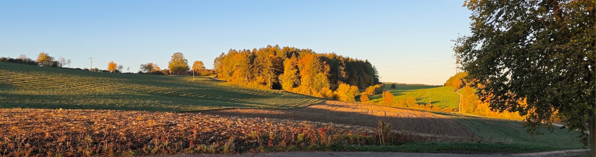 Schwäbischer Albverein | Ortsgruppe Hayingen